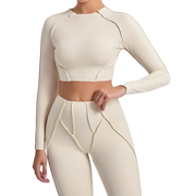 Long Sleeve Stitch Croptop